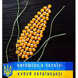 Насіння кукурудзи АР 18101 К, ФАО-310, Стандарт
