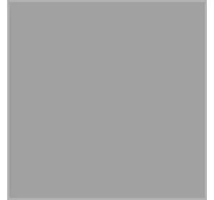 Насіння ультрараннього сортового соняшника Синельниківський УльтраРанній (СУР), протруєне, 75-80 днів, (фракція 3.8)