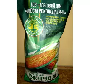 Насіння кукурудзи Пивиха ФАО 190, ранньостиглий гібрид, рік урожаю 2021, українська селекція