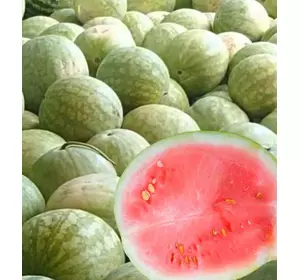 Семена арбуза Чумак, среднеспелый, фасовка 100 г Семена арбуза Чумак, среднеспелый, фасовка 100 г