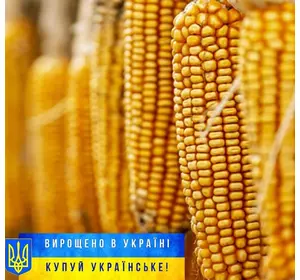 Семена кукурузы "Тиадор", Экстра, ФАО-360