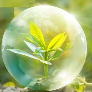 Фунгициды Фунгициды