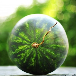 Семена бахчевых Семена бахчевых