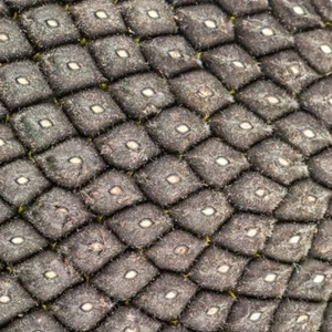 Непротравленные семена Непротравленные семена