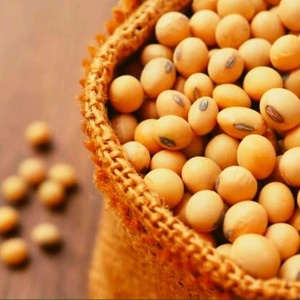 Семена сои Семена сои