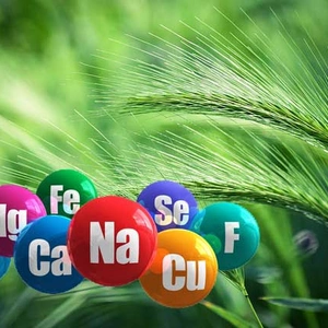 Микроудобрения Микроудобрения