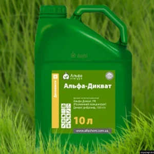 Десиканты Десиканты