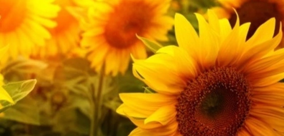 Класичний Класичний